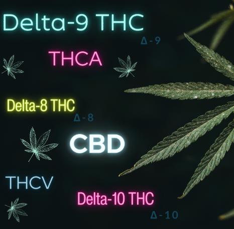 米国の大麻規制の景観を変える可能性のある2つの連邦大麻改革法案が進行中です